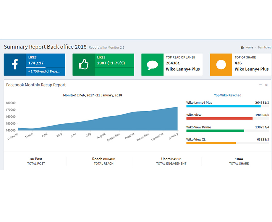 Report Visualization